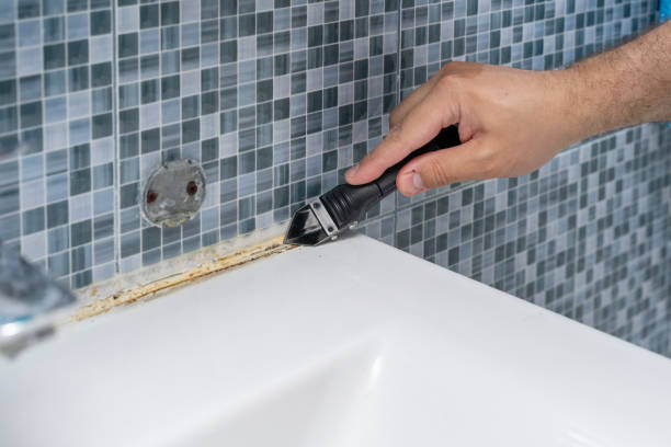 Best Residential Mold Removal  in Kentwood, LA